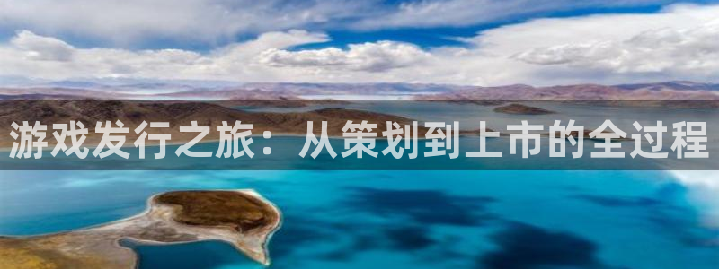 bg大游官网登录注册：游戏发行之旅：从策划到上市的全过程