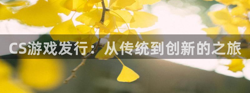 陕西bg大游子文化创意干啥的：CS游戏发行：从传统到创新的之旅