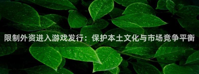 陕西省西安市bg大游子文化创意：限制外资进入游戏发行：保护本土文化与市场竞争平衡