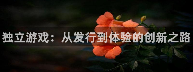 bg大游官网注册平台怎么样可靠吗：独立游戏：从发行到体验的创新之路