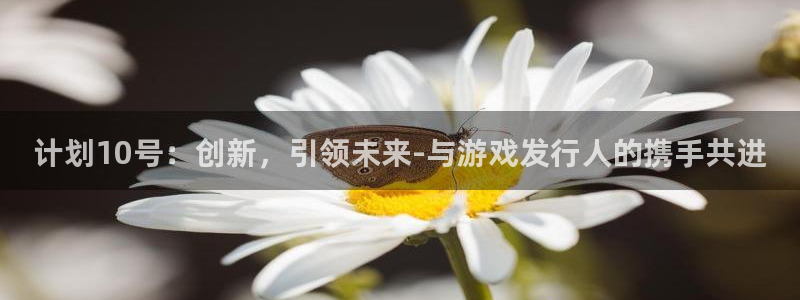 bg大游电子商务有限公司地址：计划10号：创新，引领未来-与游戏发行人的携手共进