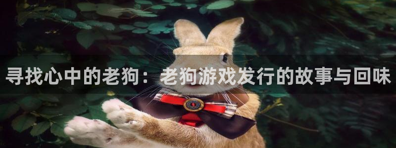 bg大游官网是什么娱乐?：寻找心中的老狗：老狗游戏发行的故事与回味