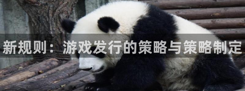 佛山bg大游