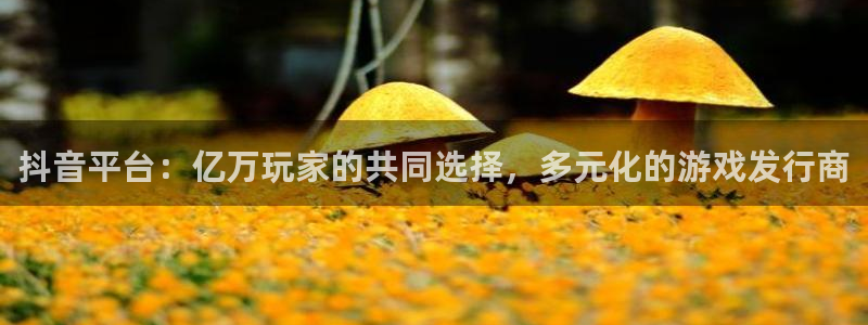 陕西bg大游子文化公司加我qq：抖音平台：亿万玩家的共同选择，多元化的游戏发行商