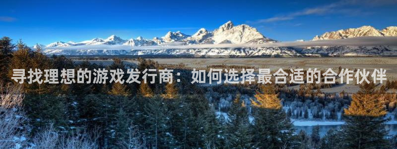bg大游官网注册地址在哪里啊：寻找理想的游戏发行商：如何选择最合适的合作伙伴