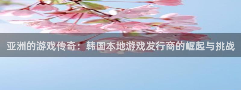 bg大游子财经丛书有哪些：亚洲的游戏传奇：韩国本地游戏发行商的崛起与挑战