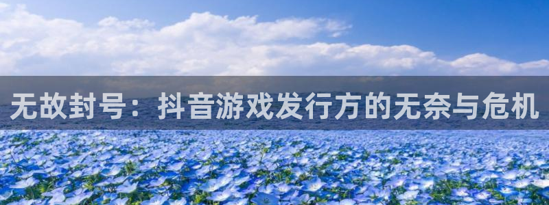 bg大游技术有限公司怎么样：无故封号：抖音游戏发行方的无奈与危机