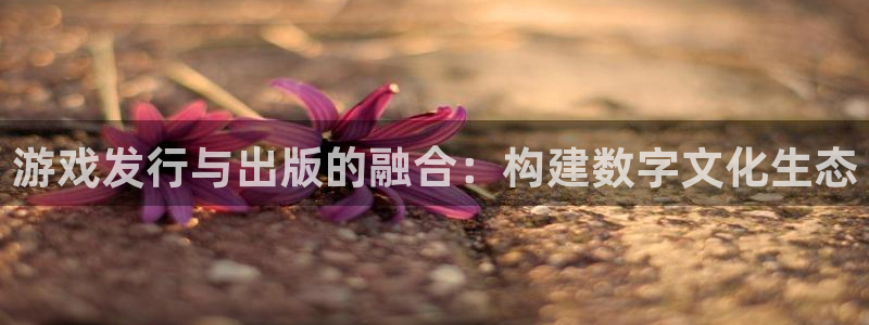 bg大游官网平台代理开号怎么开：游戏发行与出版的融合：构建数字文化生态