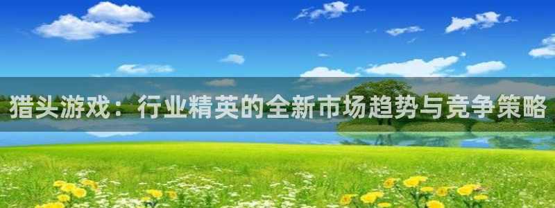 bg大游智邦(北京)品牌策划有限公司