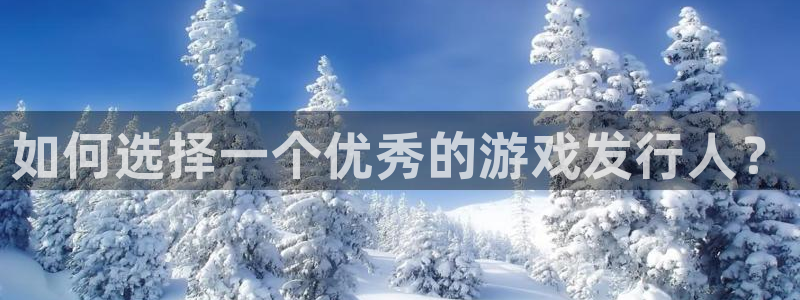 bg大游啤酒多少钱一箱：如何选择一个优秀的游戏发行人？