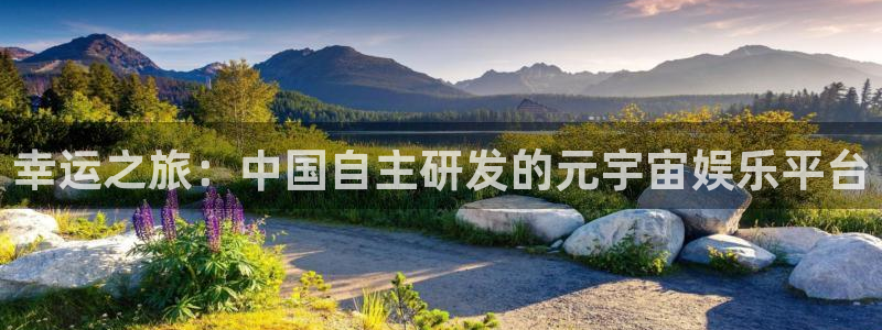 bg大游lvnces官网
