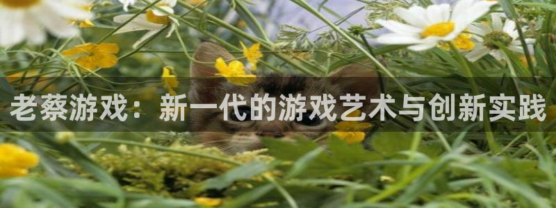 长沙bg大游子电子商务有限公司