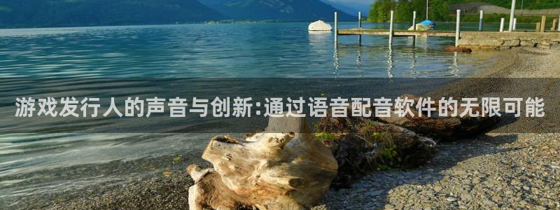bg大游官网登录注册账号失败：游戏发行人的声音与创新:通过语音配音软件的无限可能