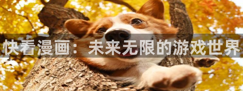 bg大游官网代理开号怎么开