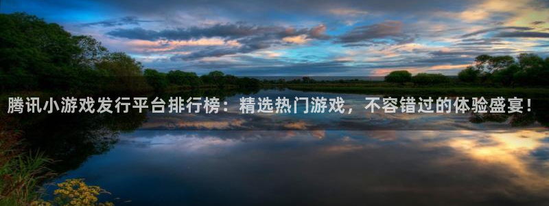 广州bg大游电子商务